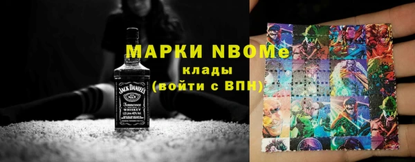 индика Касимов