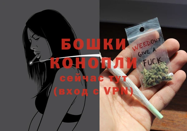 гашик Карпинск