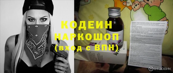 гашик Карпинск