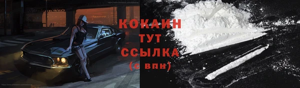 гашик Карпинск