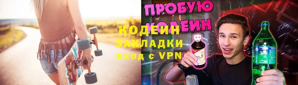 индика Касимов