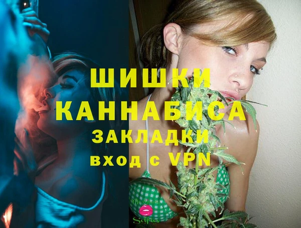 гашик Карпинск