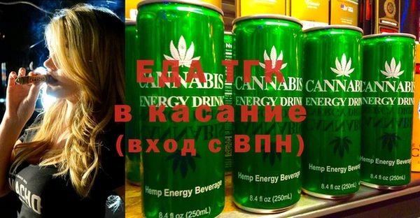 индика Касимов