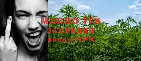 гашик Карпинск