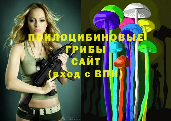 индика Касимов
