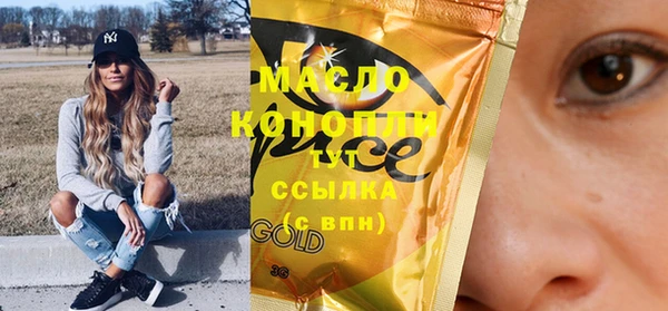 гашик Карпинск