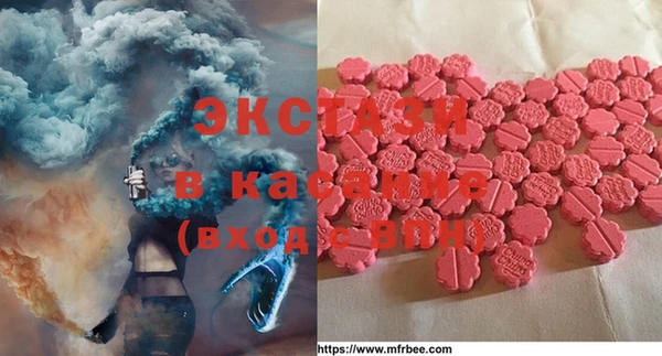 индика Касимов