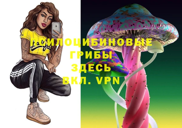 индика Касимов