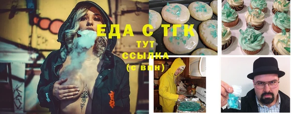 индика Касимов