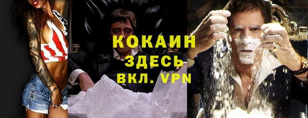 гашик Карпинск