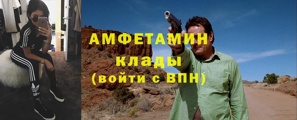 гашик Карпинск