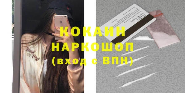 индика Касимов